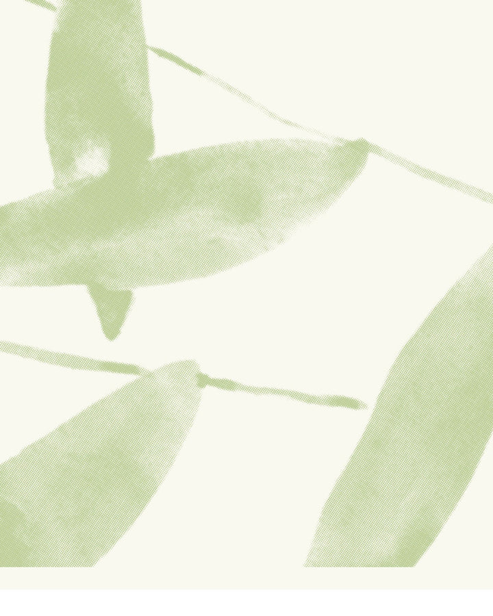 salava linen fabric
