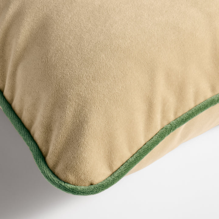 Union Velvet 20" Square Pillow