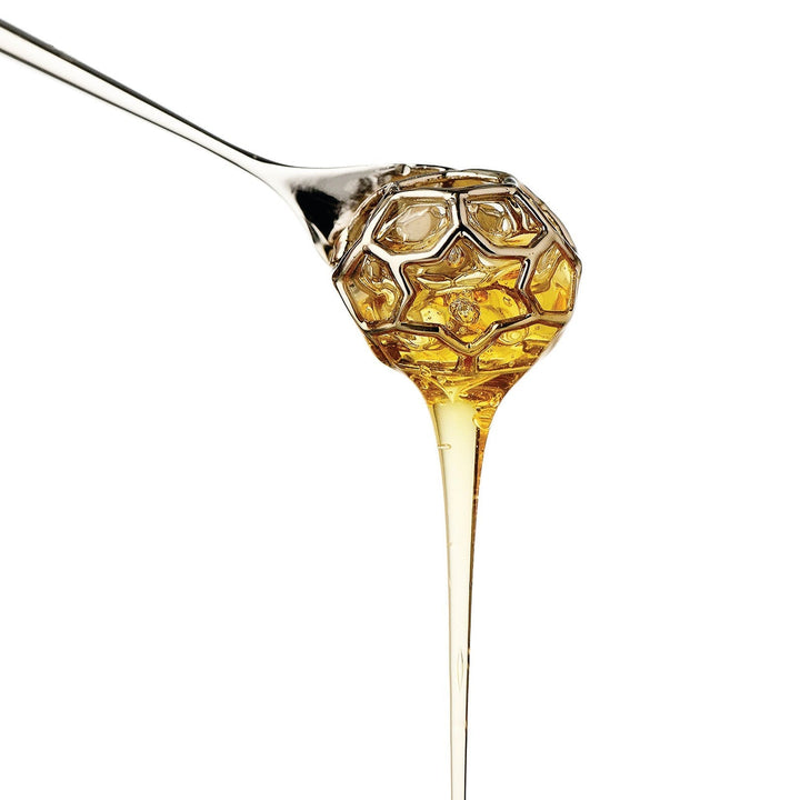 Acacia Honey Dipper