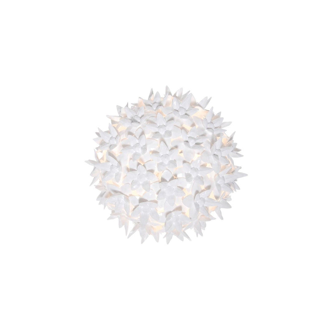 Bloom Sconce