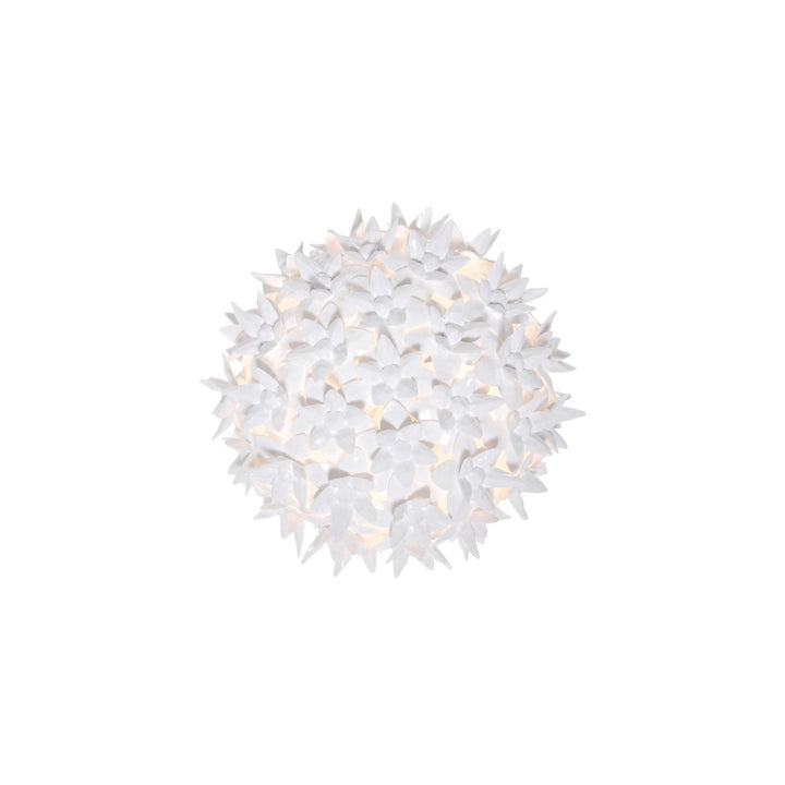 Bloom Sconce