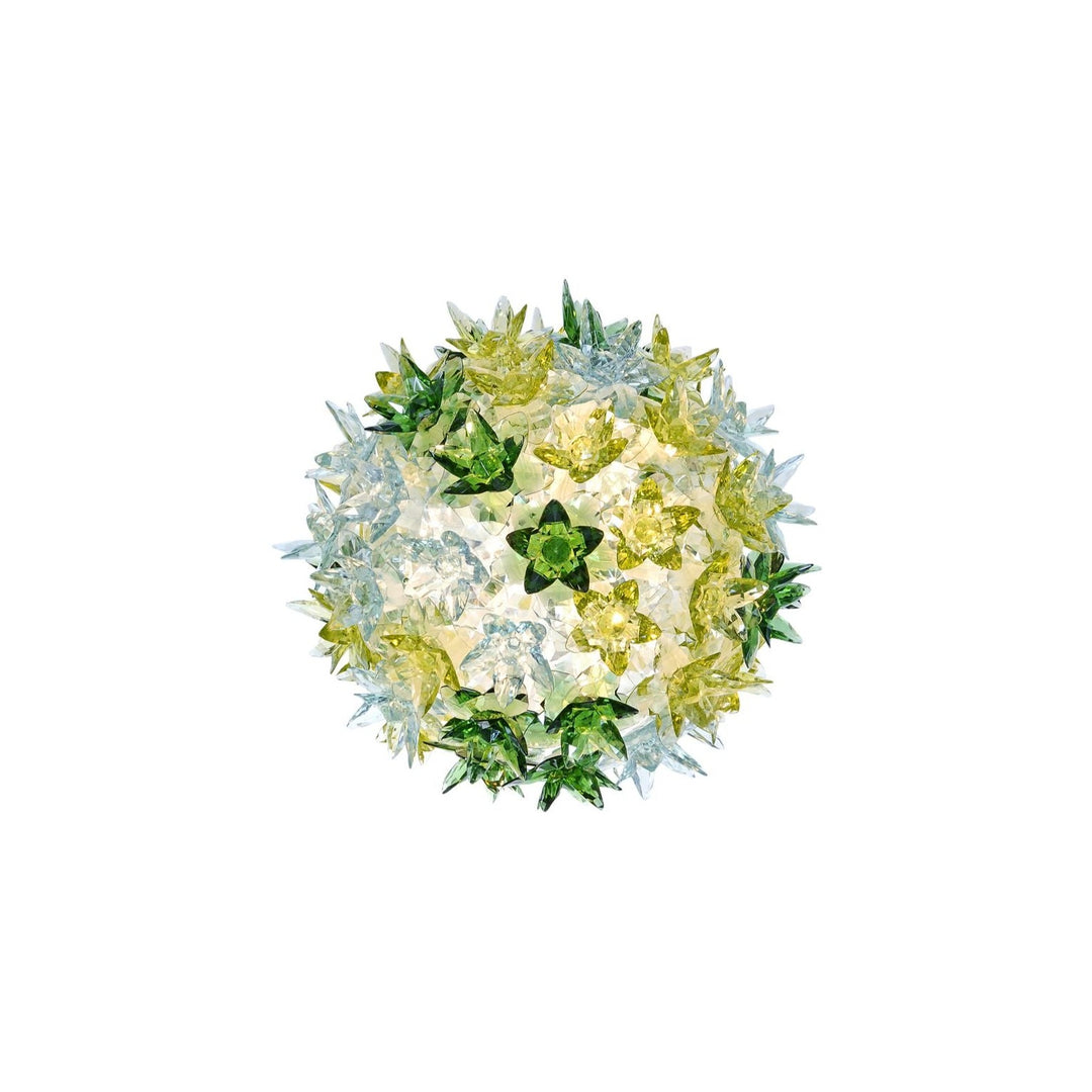 Bloom Sconce