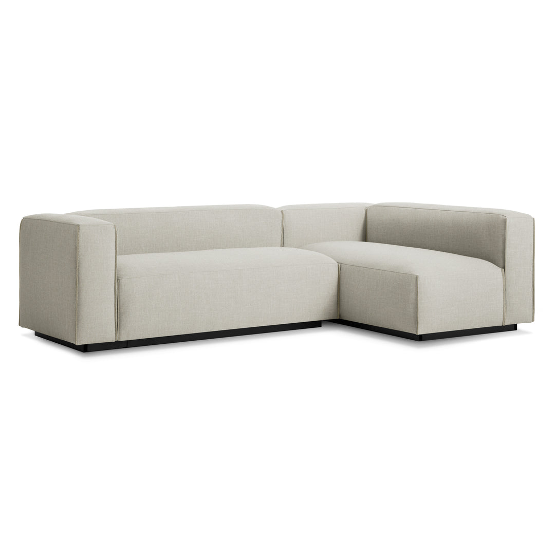 Cleon Small Sectional Sofa