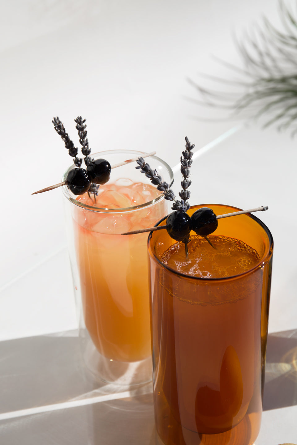 Double Wall Glasses