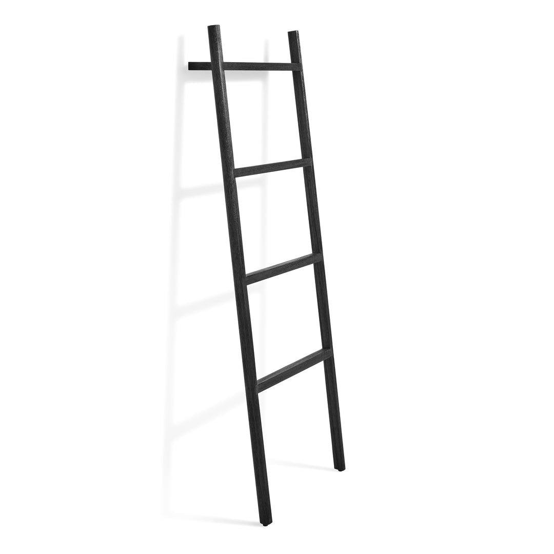 Woodsy Storage Ladder