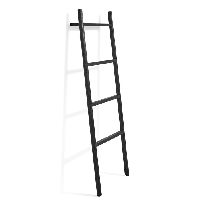 Woodsy Storage Ladder