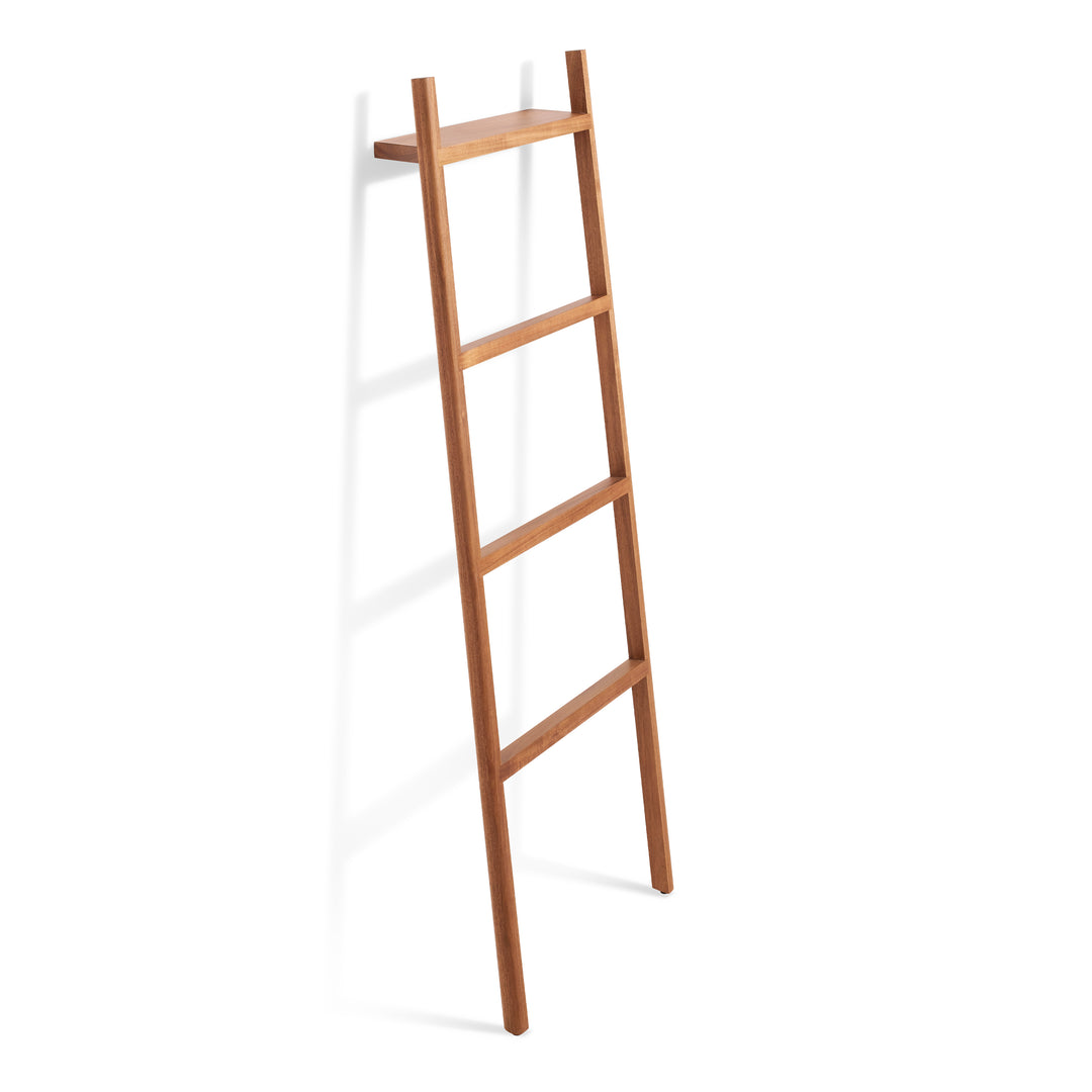 Woodsy Storage Ladder
