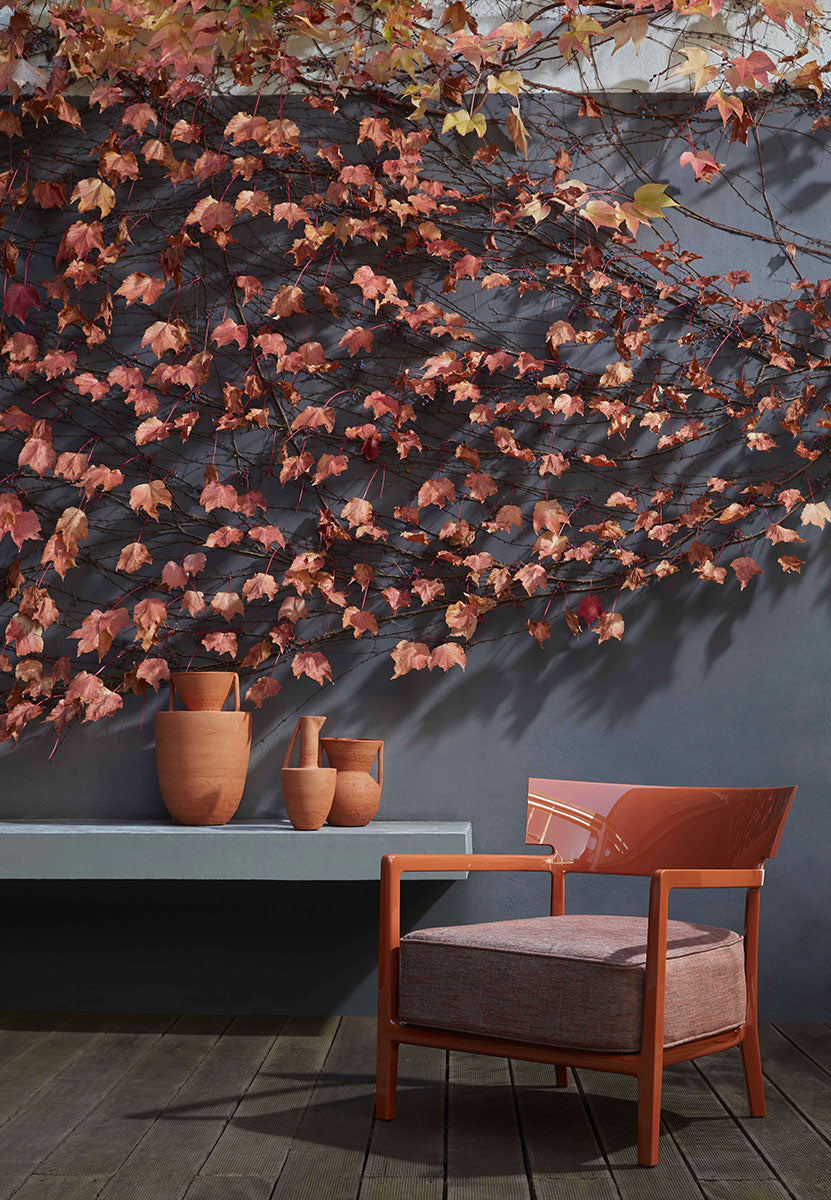 Cara Lounge Chair
