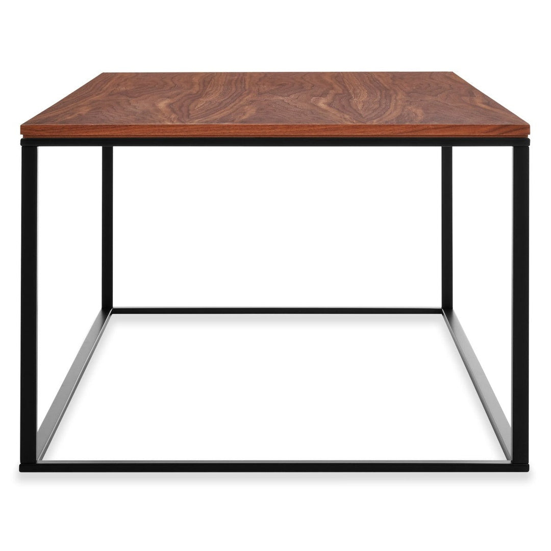 Minimalista Coffee Table