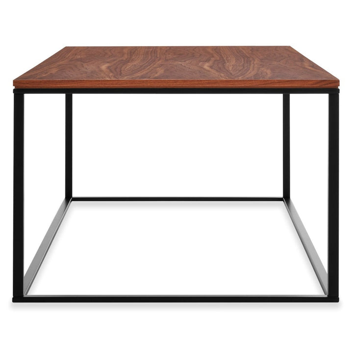 Minimalista Coffee Table