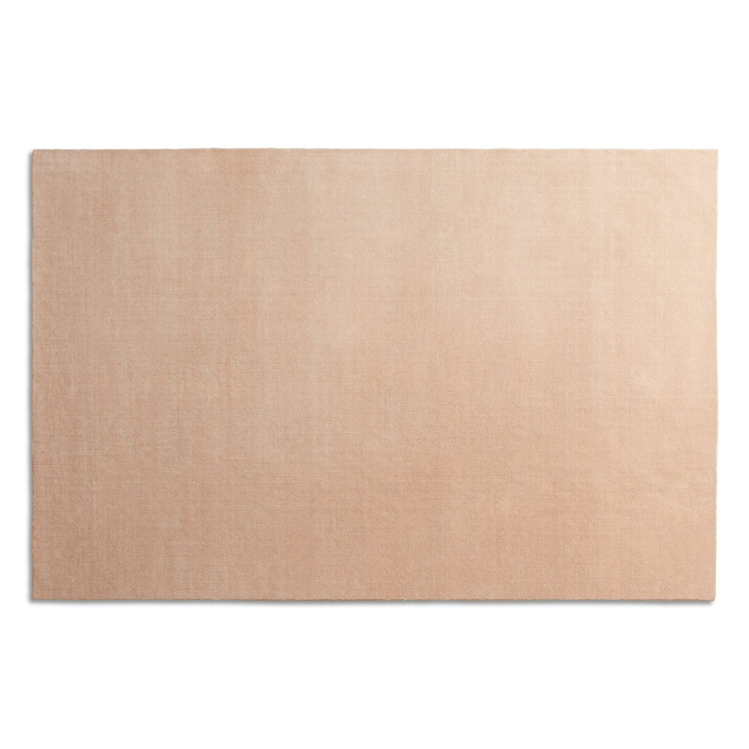 Filtered Out Rug