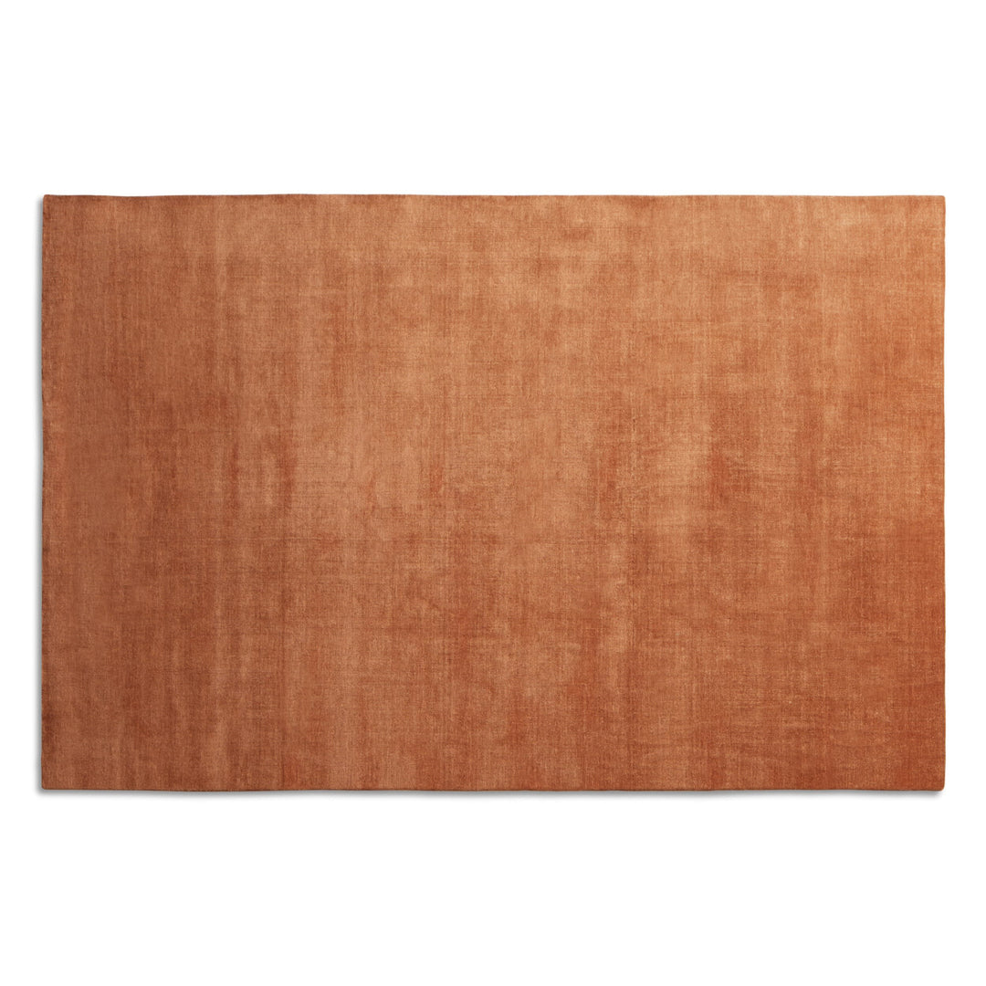 Filtered Out Rug