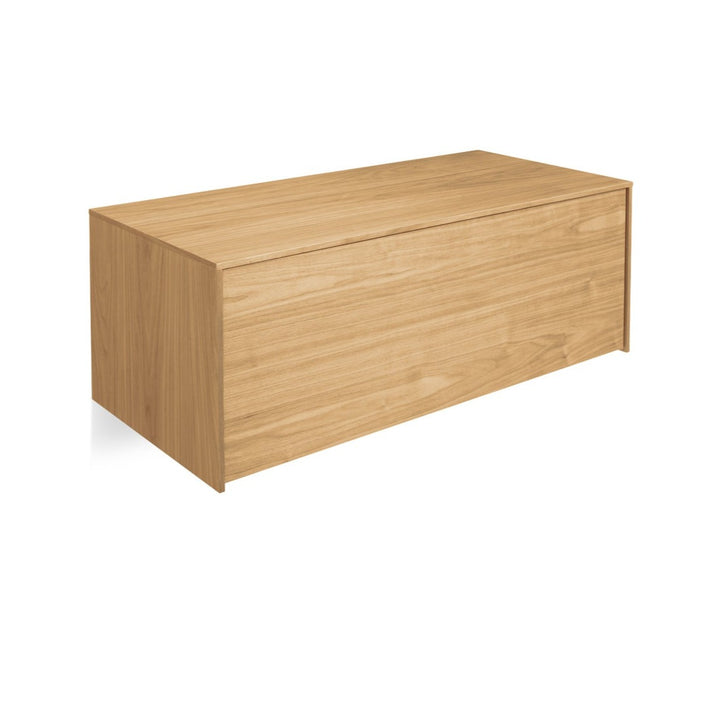 Wonder Wall 2.0 1 Door Cabinet