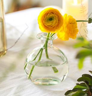 Bud Vase - Clear
