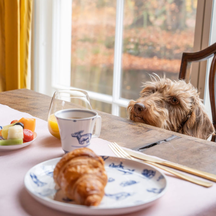 Blue Delft Dachshund Nhaan breakfast plate