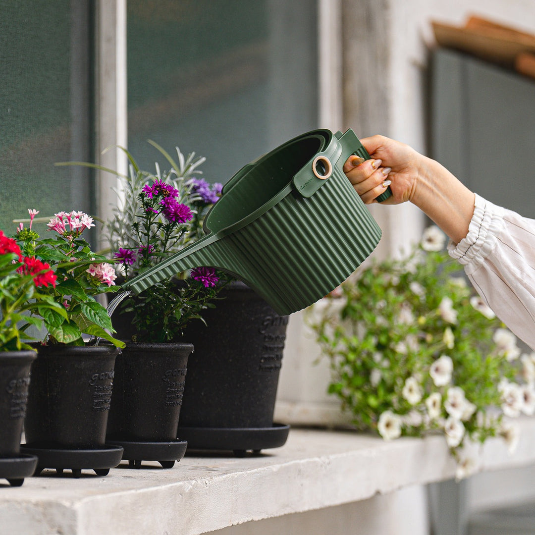 Hachiman Garden Beetle Watering Cans