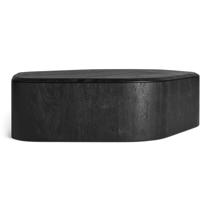 Hoard Coffee Table with Storage
