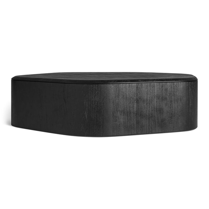 Hoard Coffee Table with Storage
