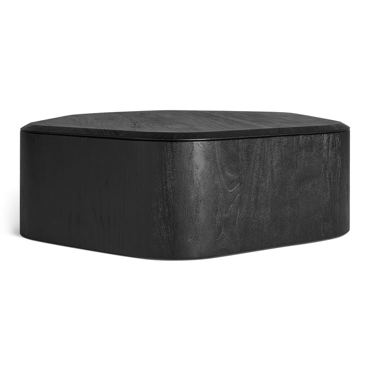 Hoard Coffee Table with Storage