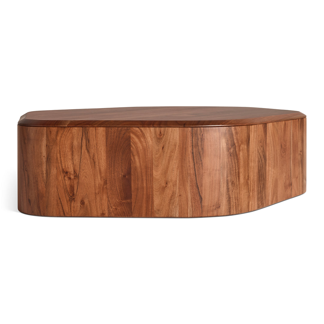 Hoard Coffee Table with Storage