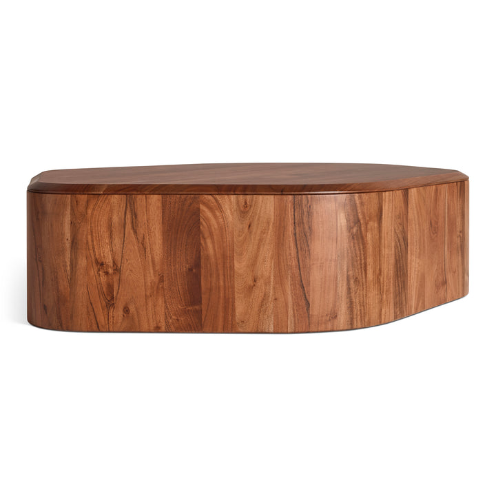 Hoard Coffee Table with Storage
