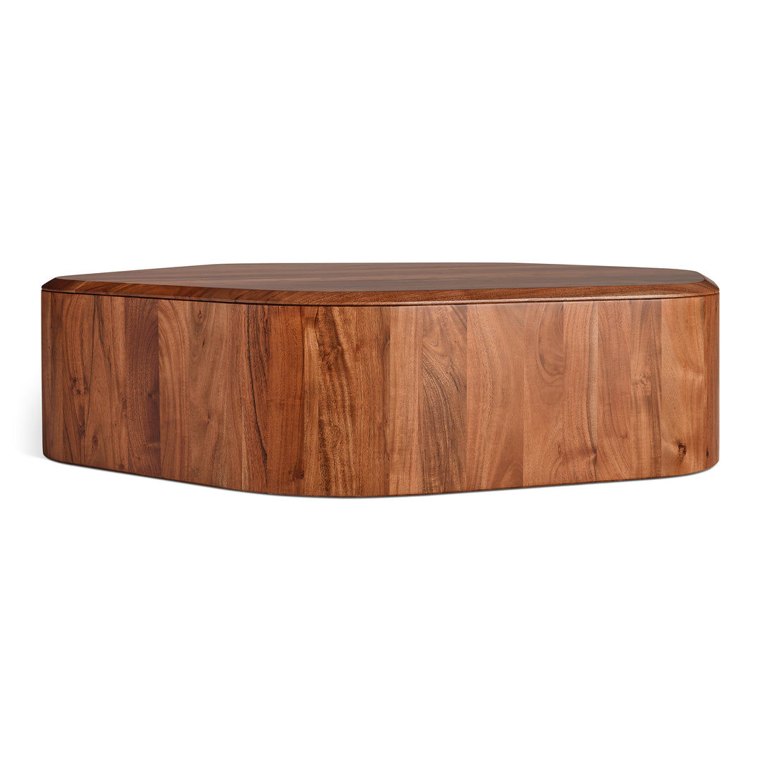 Hoard Coffee Table with Storage