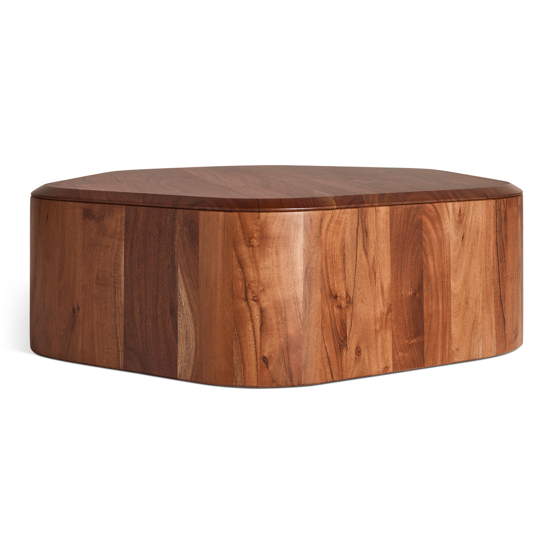 Hoard Coffee Table with Storage