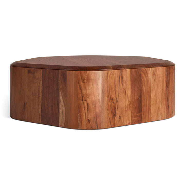 Hoard Coffee Table with Storage