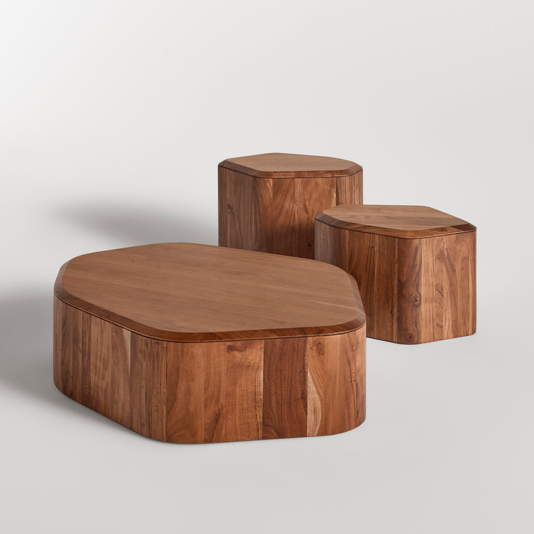 Hoard Coffee Table with Storage