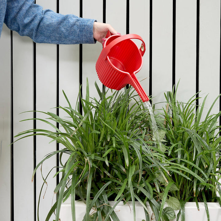 Hachiman Garden Beetle Watering Cans