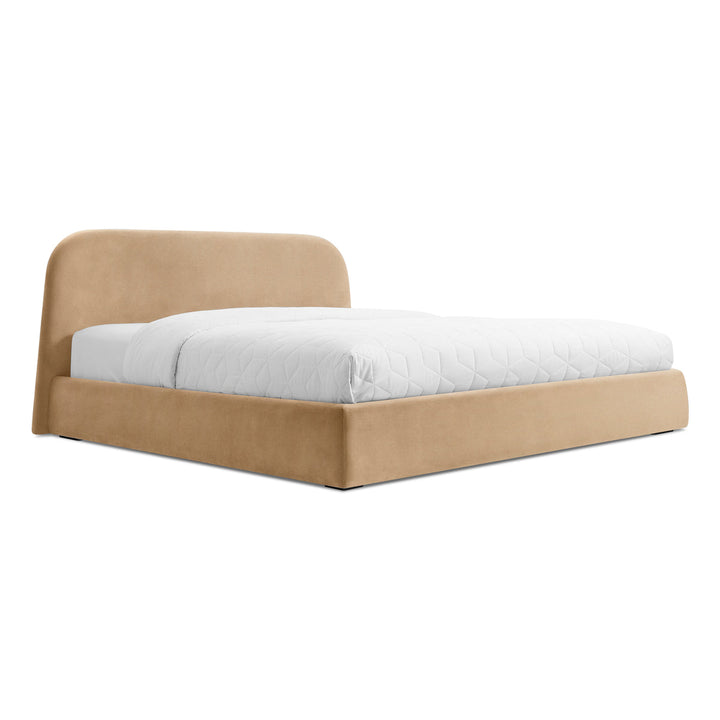 Lid Bed