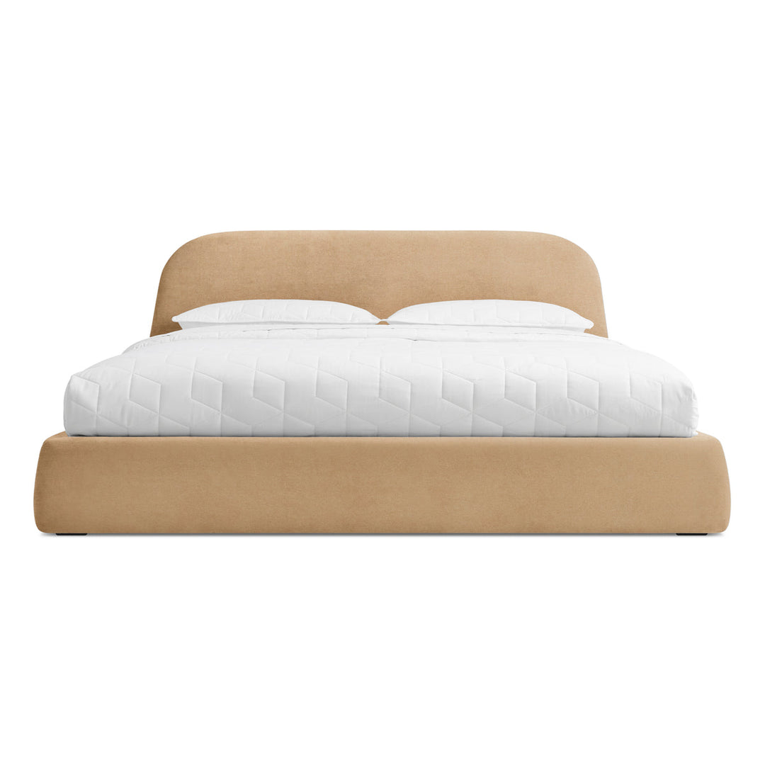 Lid Bed