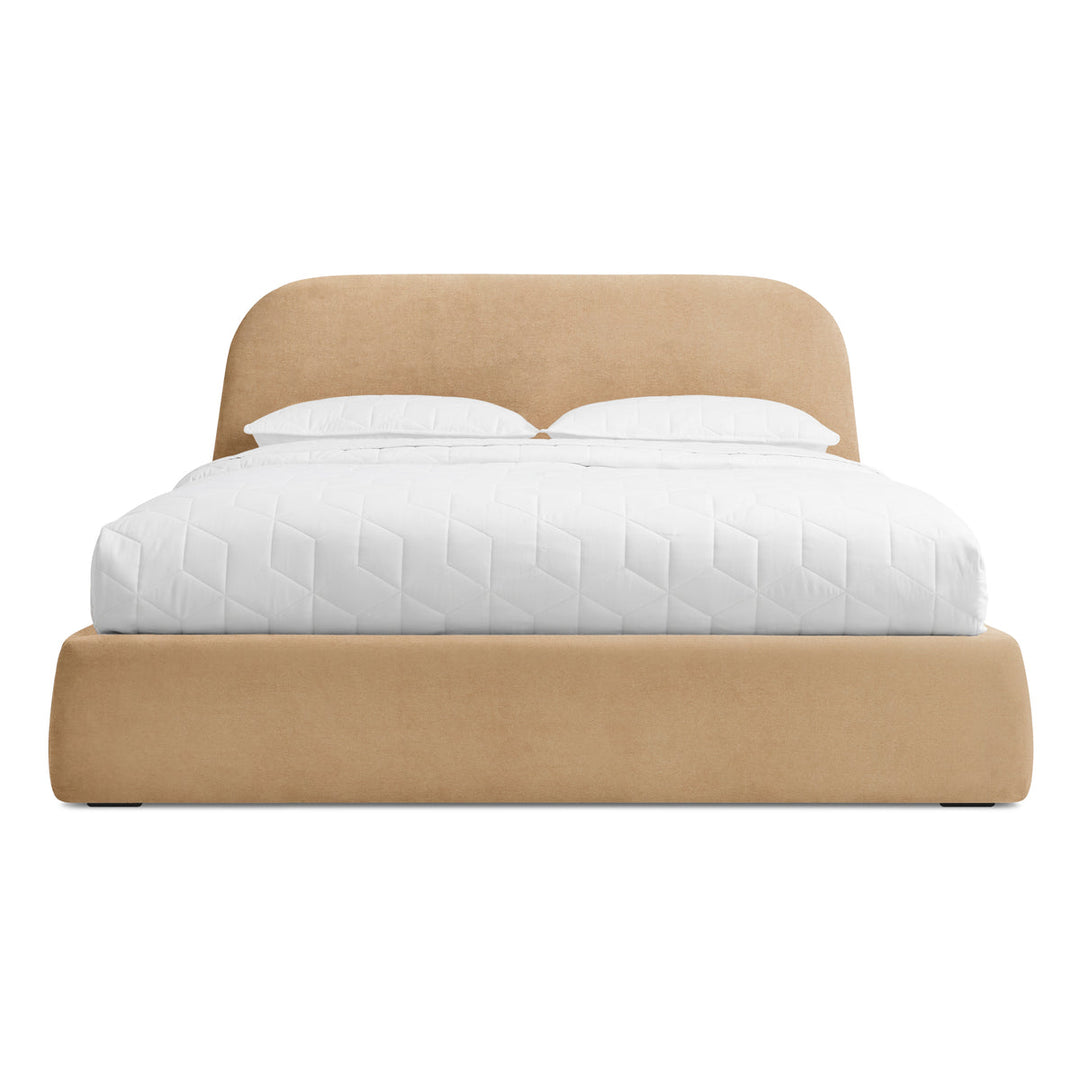Lid Bed