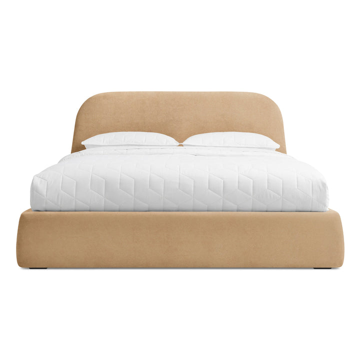 Lid Bed