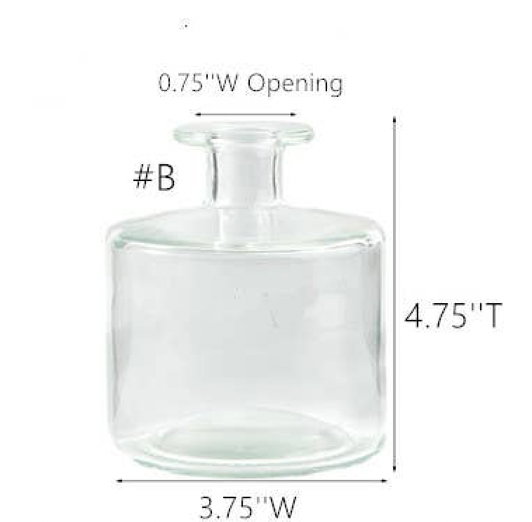 Bud Vase - Clear