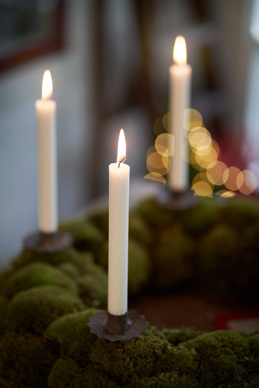 Christmas Tree  Candles | 12 Pack: White