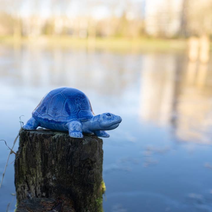 Delft Blue Turtle