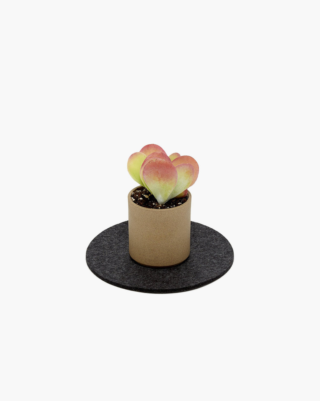 8" Round Felt Trivet