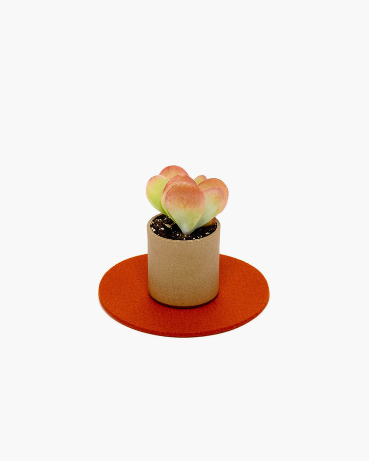 8" Round Felt Trivet