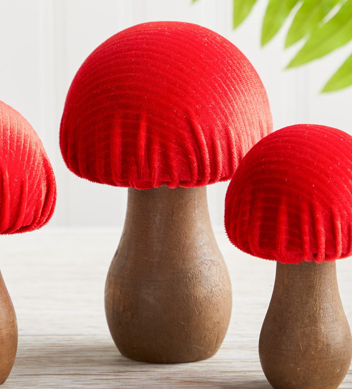 Velvet Mushrooms