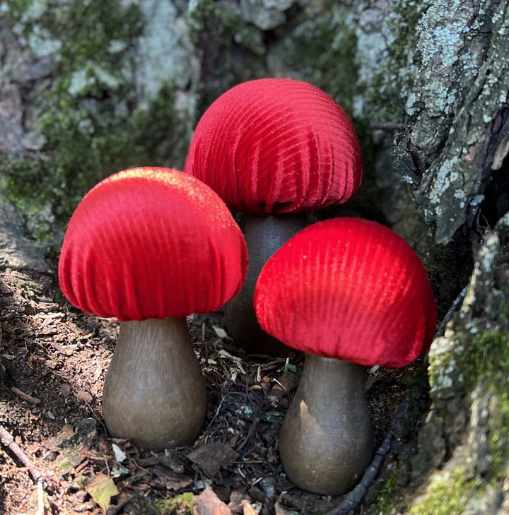 Velvet Mushrooms